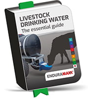 livestock drinking image